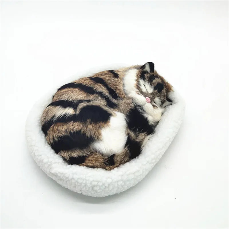 sleeping tiger kitten