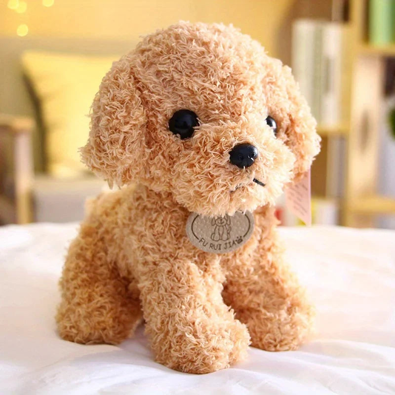 Teddy Pup
