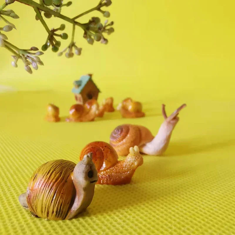 Mini Snail Pet