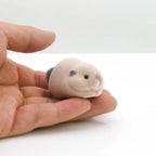 Mini Baby Beaver