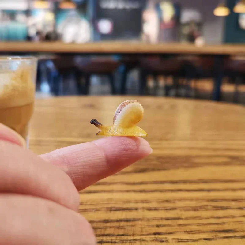 Mini Snail Pet