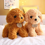 Teddy Pup