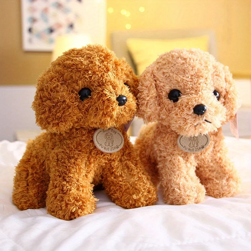 Teddy Pup