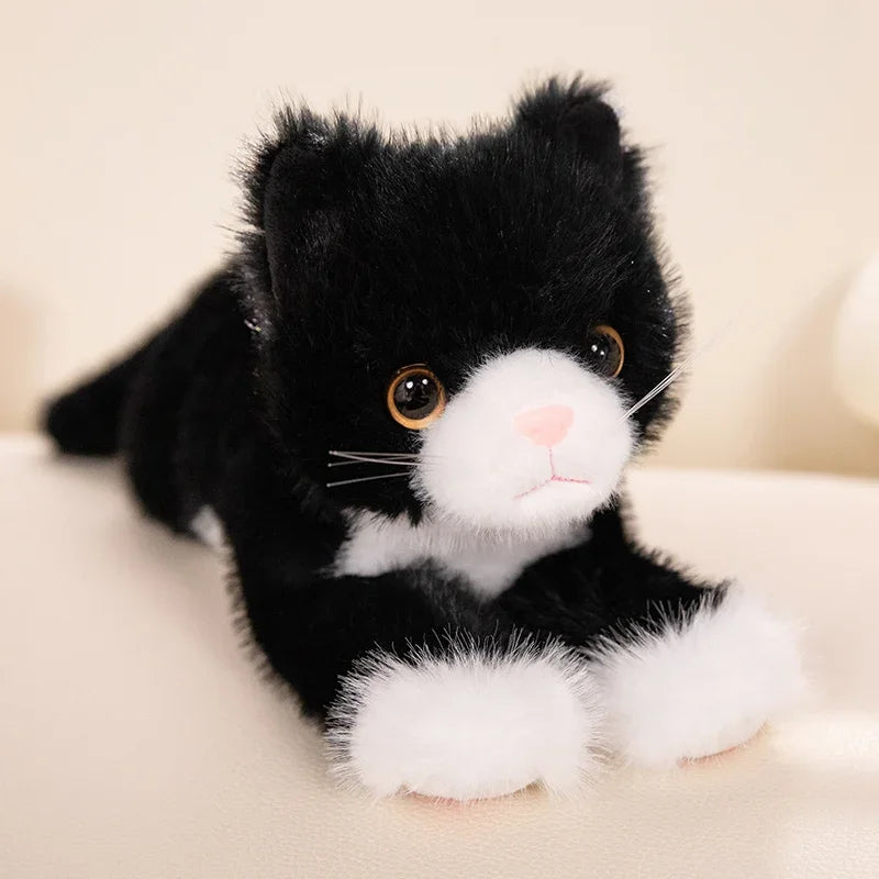 Soft Cloud Kitty
