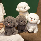 Silly Bichon Puppy