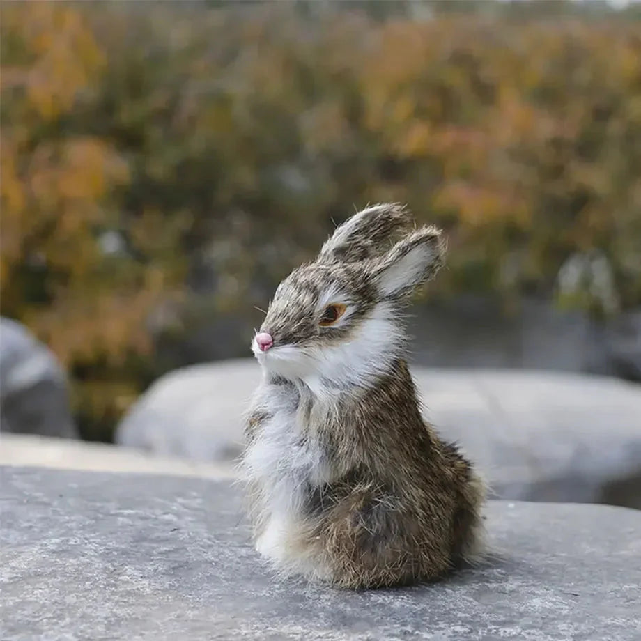 Big Boss Rabbit