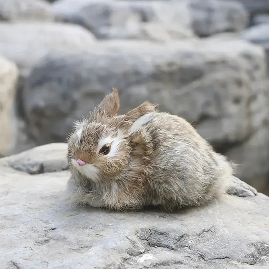 Big Boss Rabbit