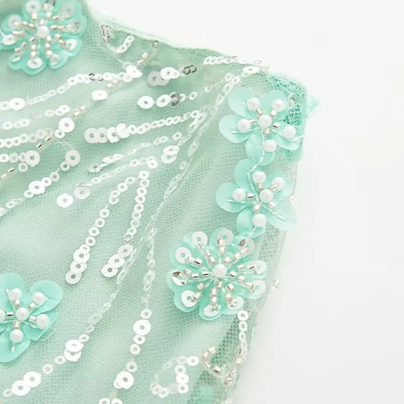 Bikaneri Beaded Skirt
