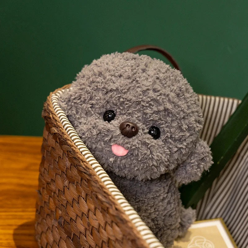 Silly Bichon Puppy