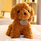 Teddy Pup