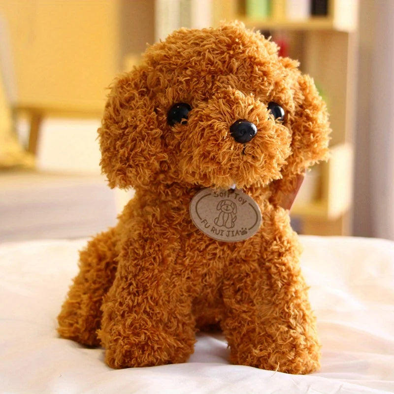 Teddy Pup