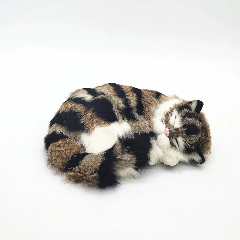 sleeping tiger kitten