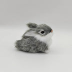 Mini Baby Bunny