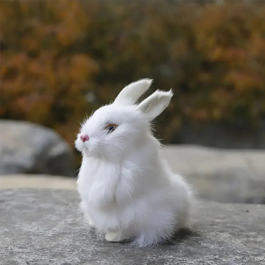 Big Boss Rabbit