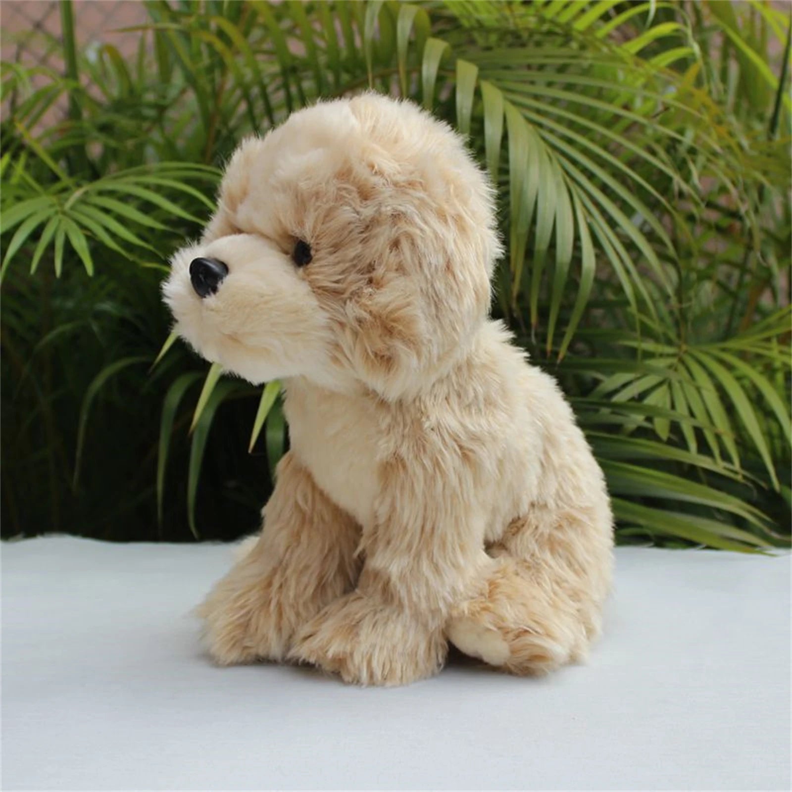 Baby Shih Tzu