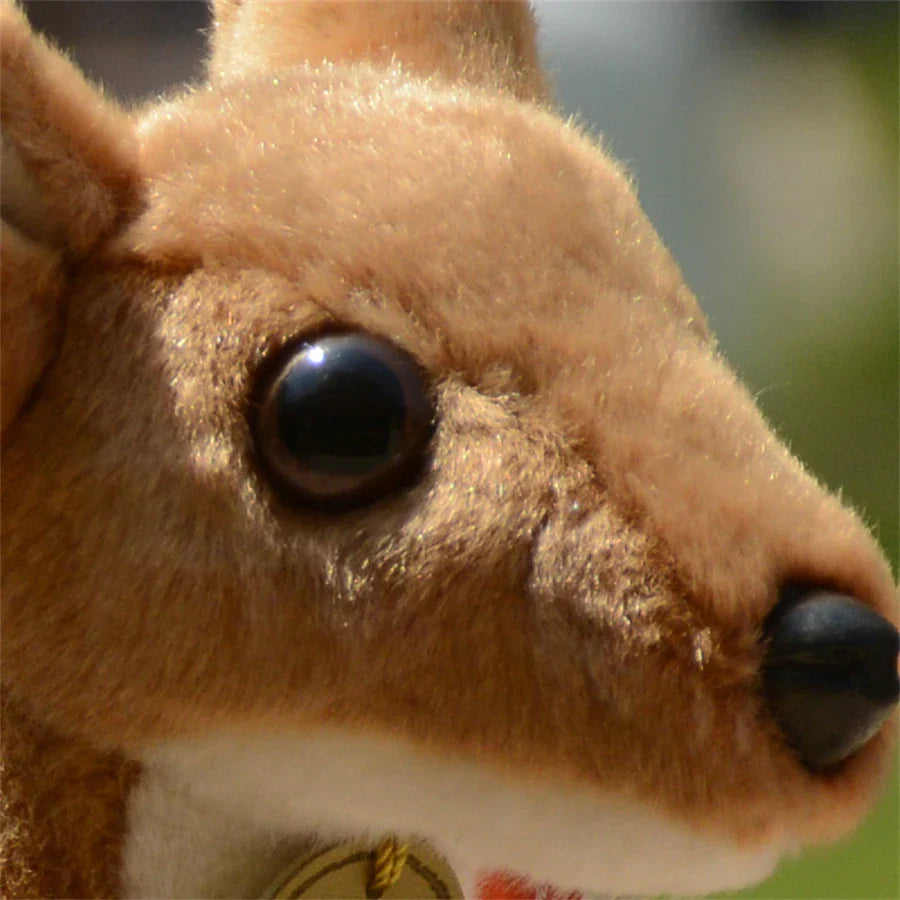 Baby Bambi