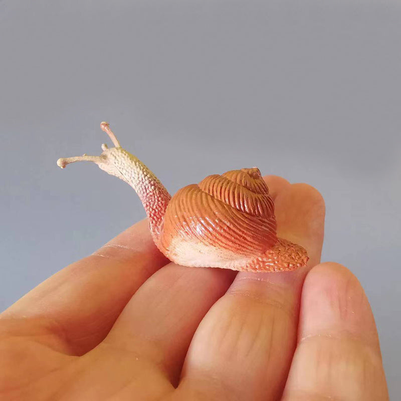 Mini Snail Pet