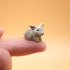 Mini Bunny Pet