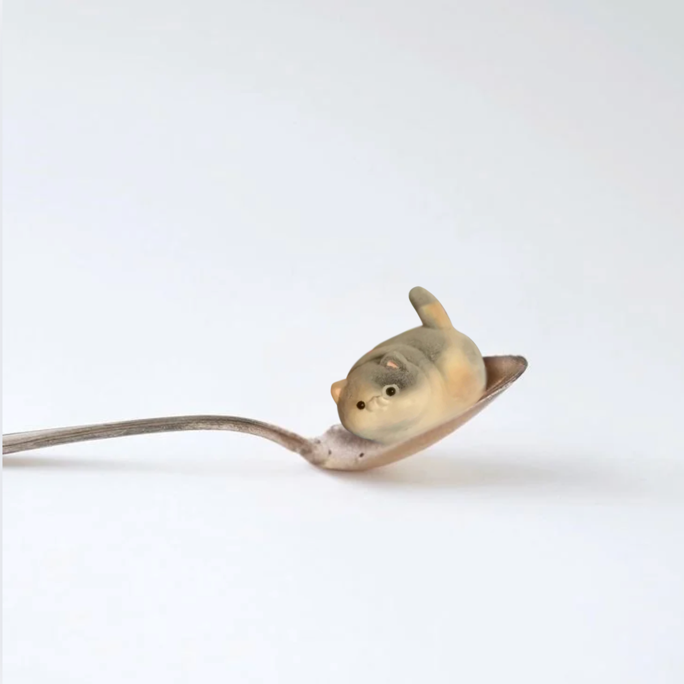 Teaspoon Kitty