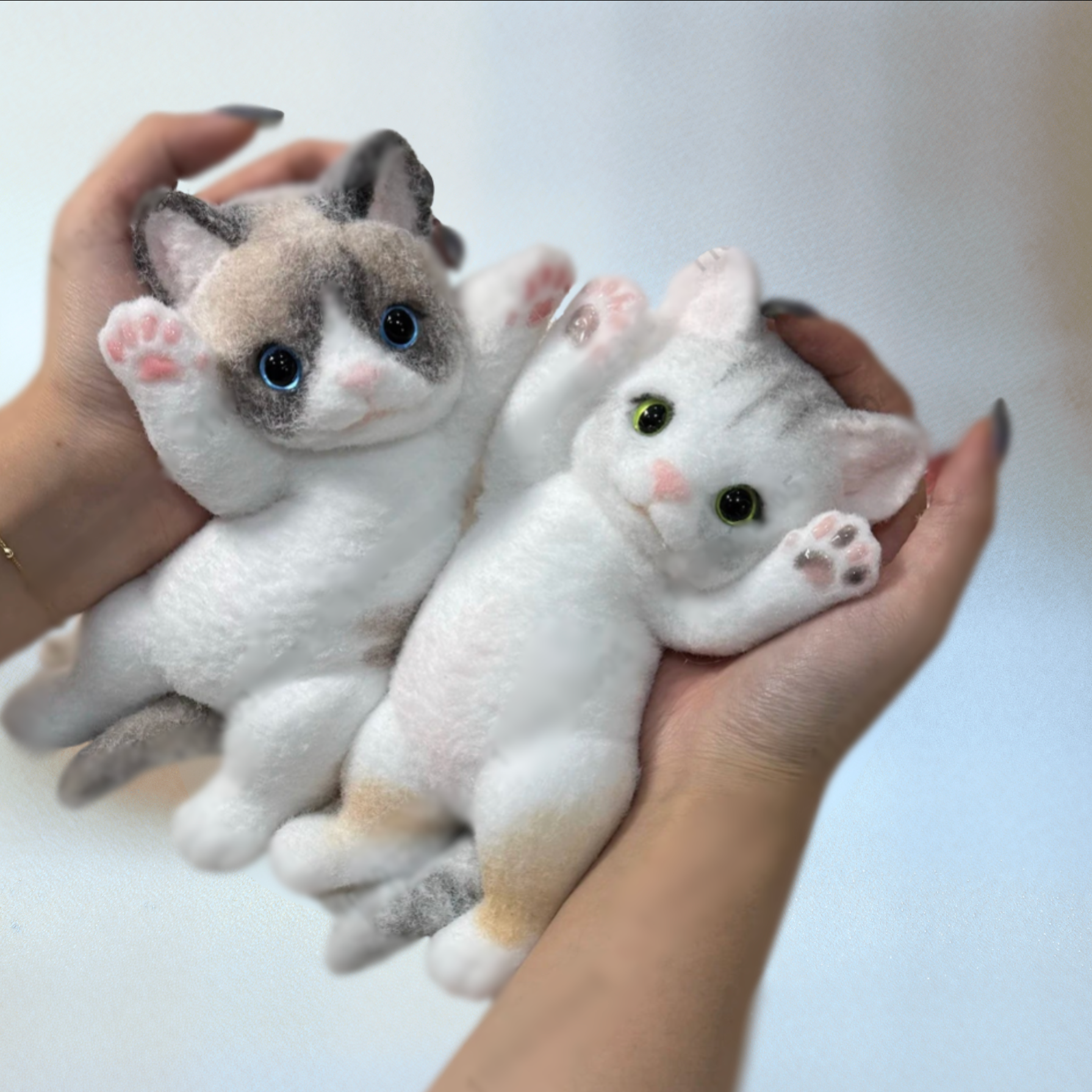 Shquishy Baby Kittens