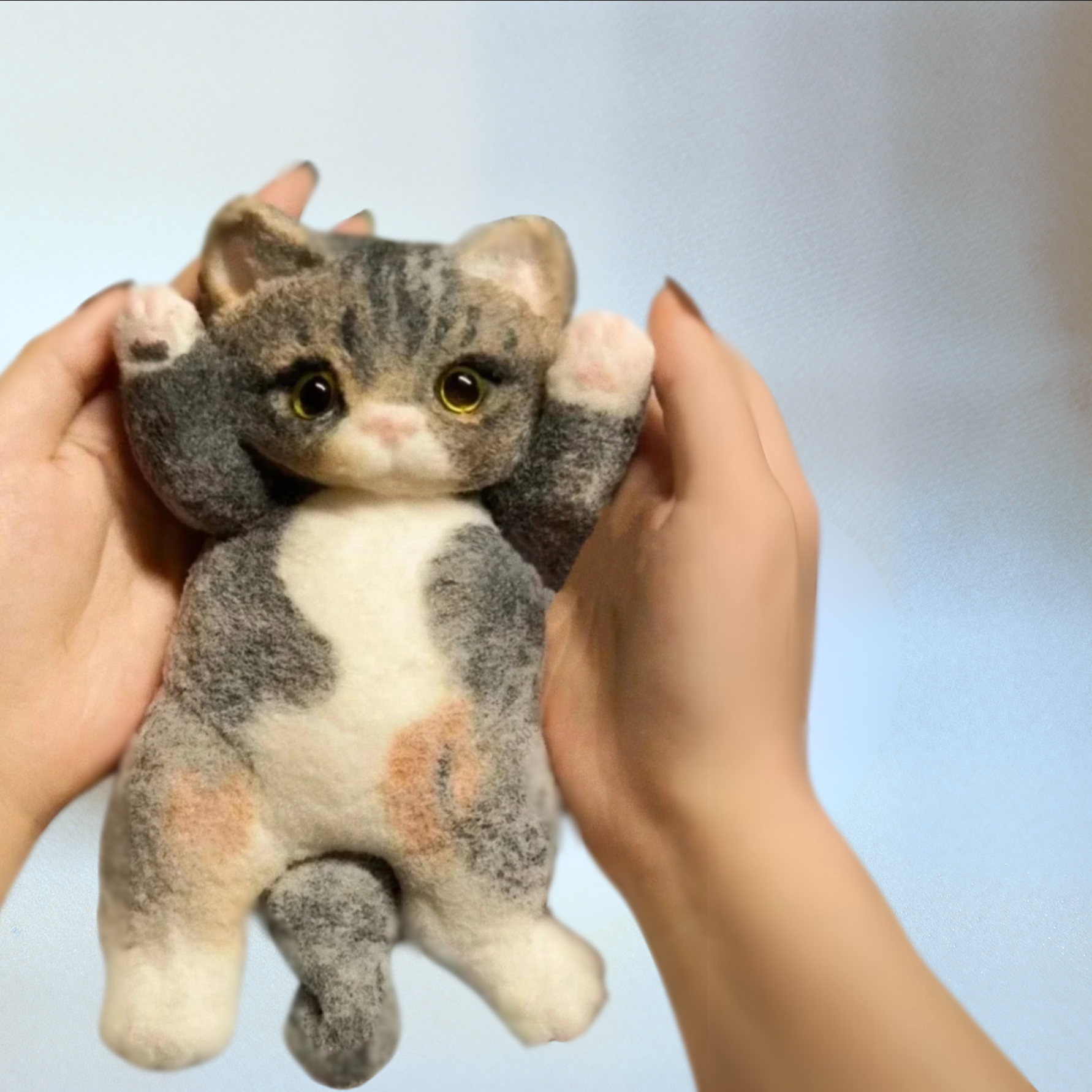 Shquishy Baby Kittens