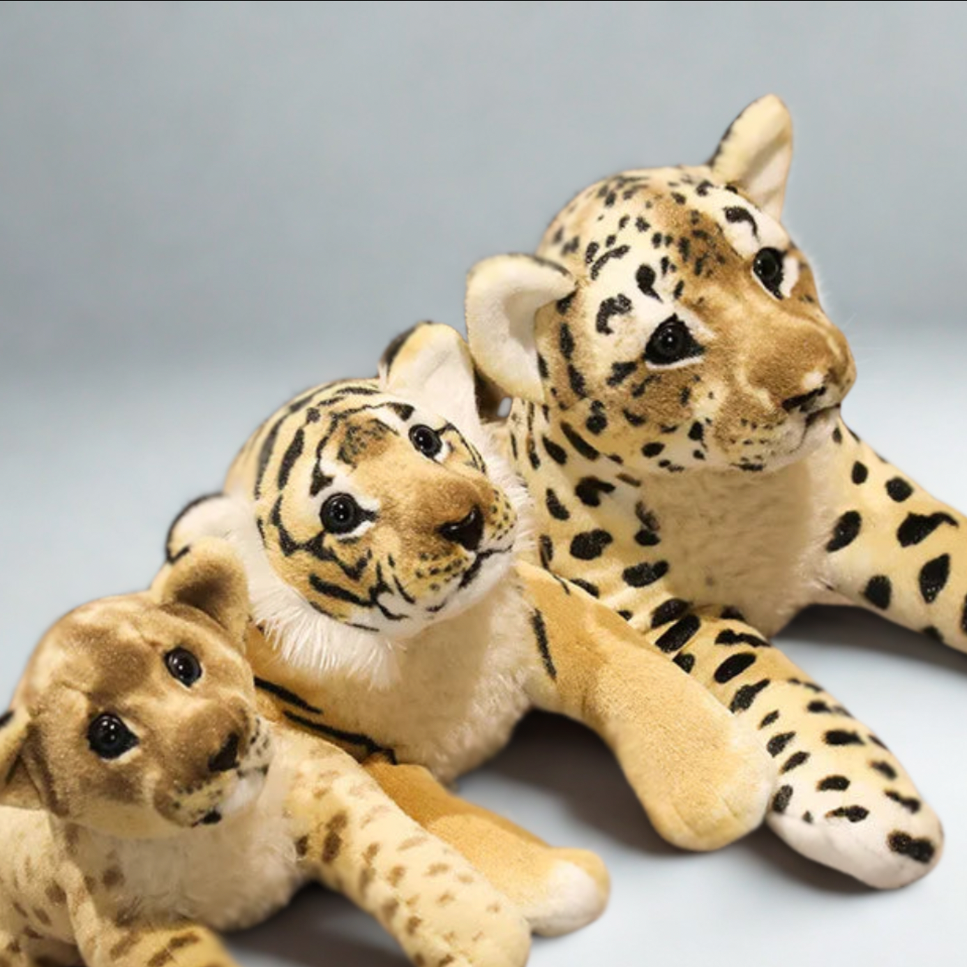 Big Cat's Pups