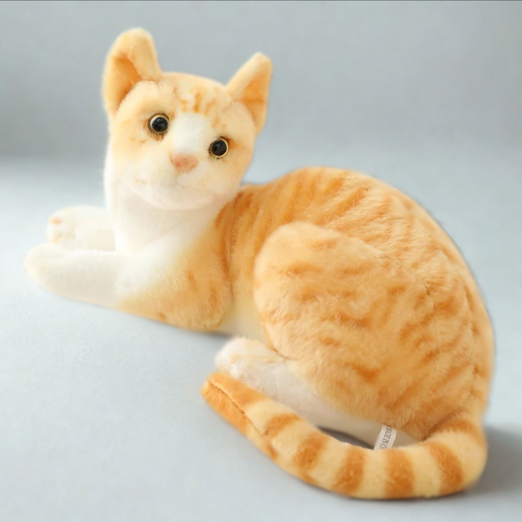 Siamese Kitty