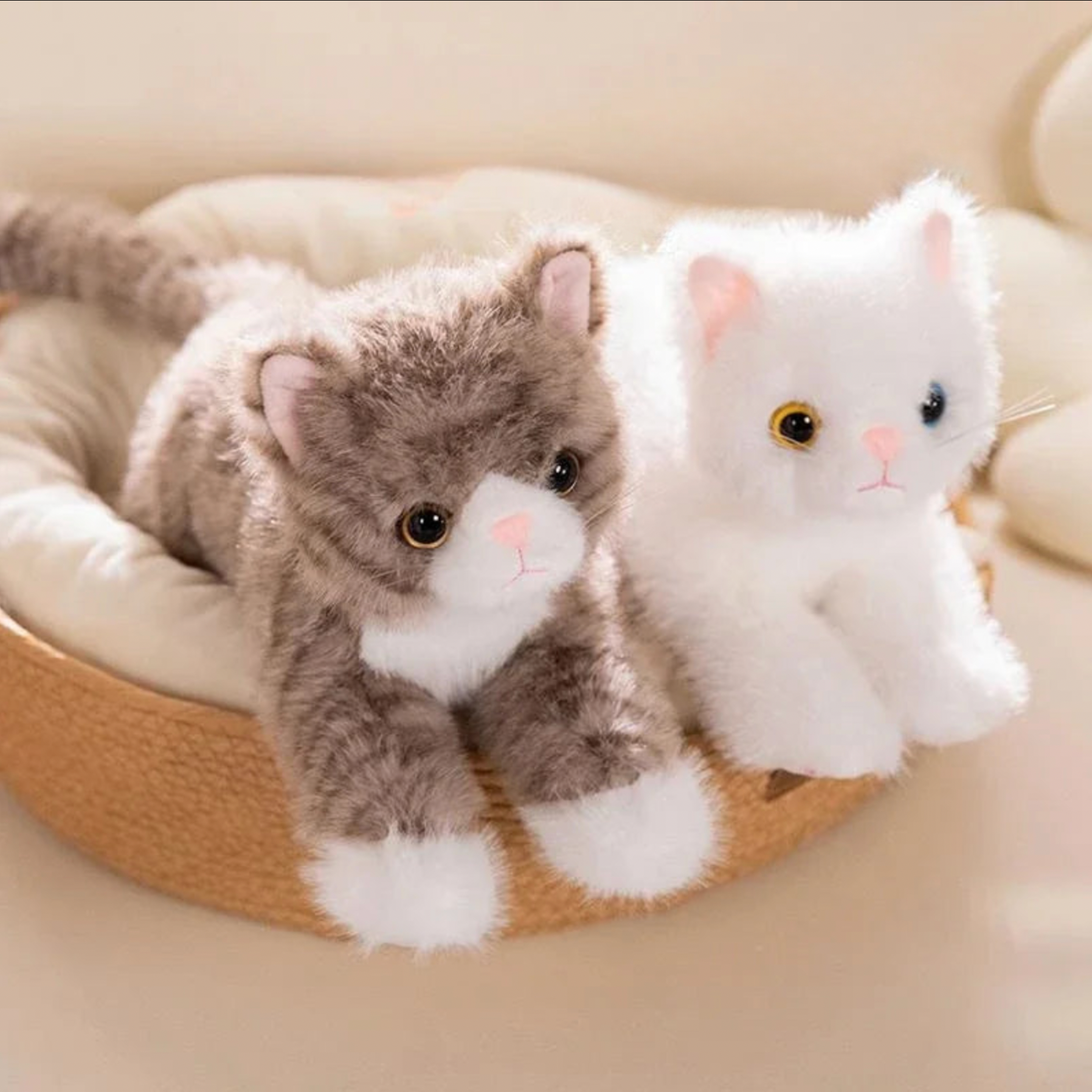 Soft Cloud Kitty