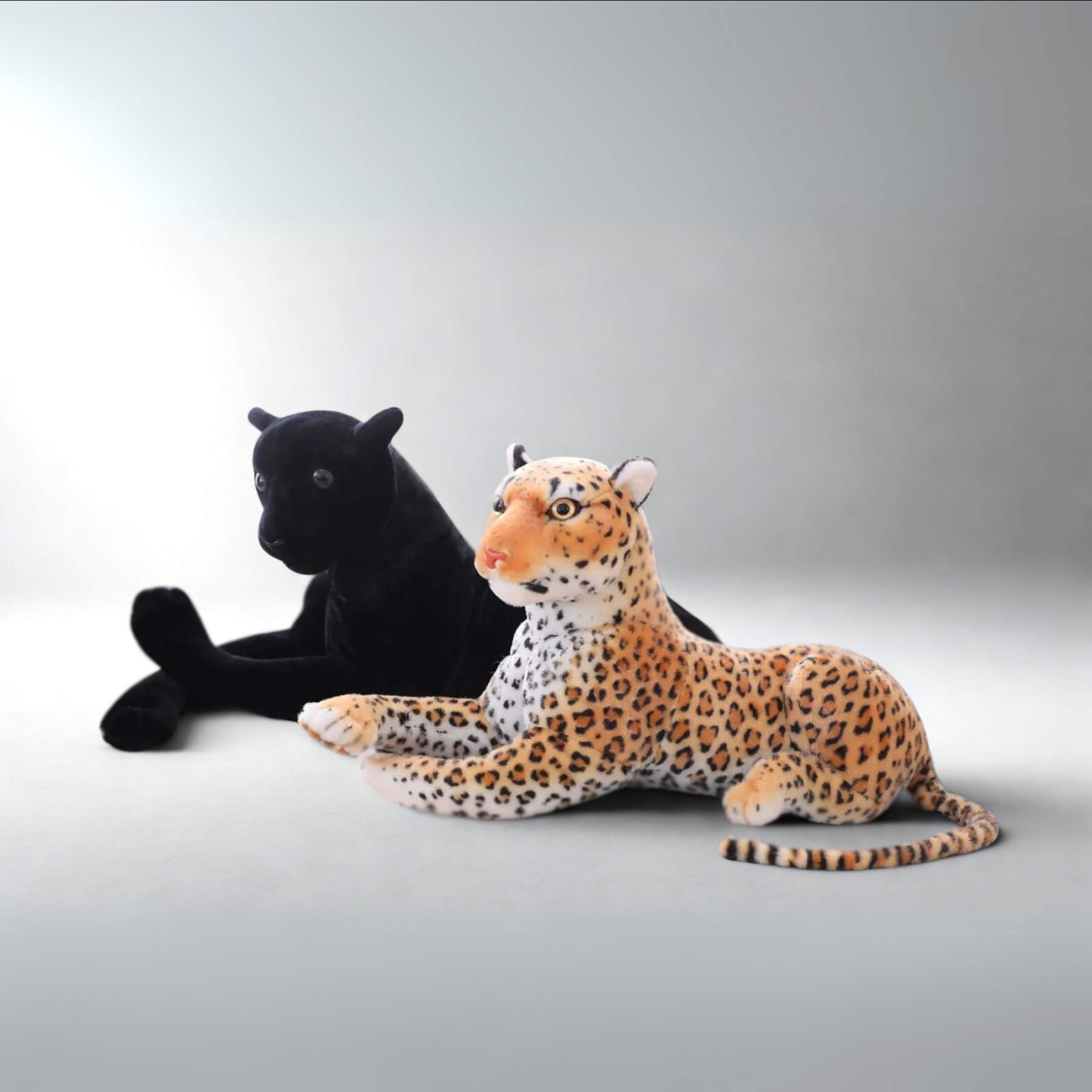 The Big Cats