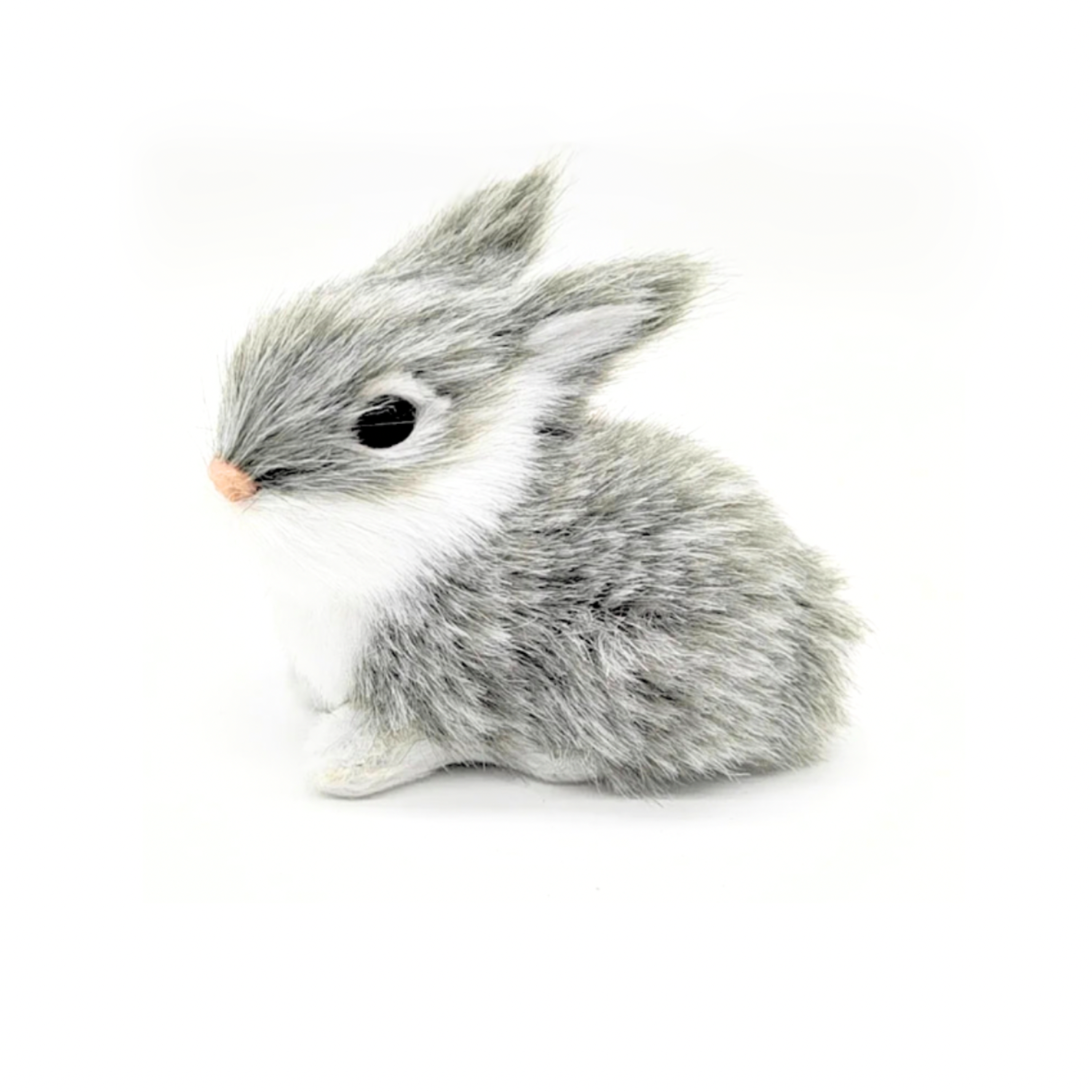 Mini Baby Bunny