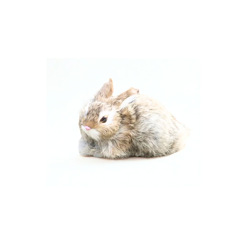 Big Boss Rabbit