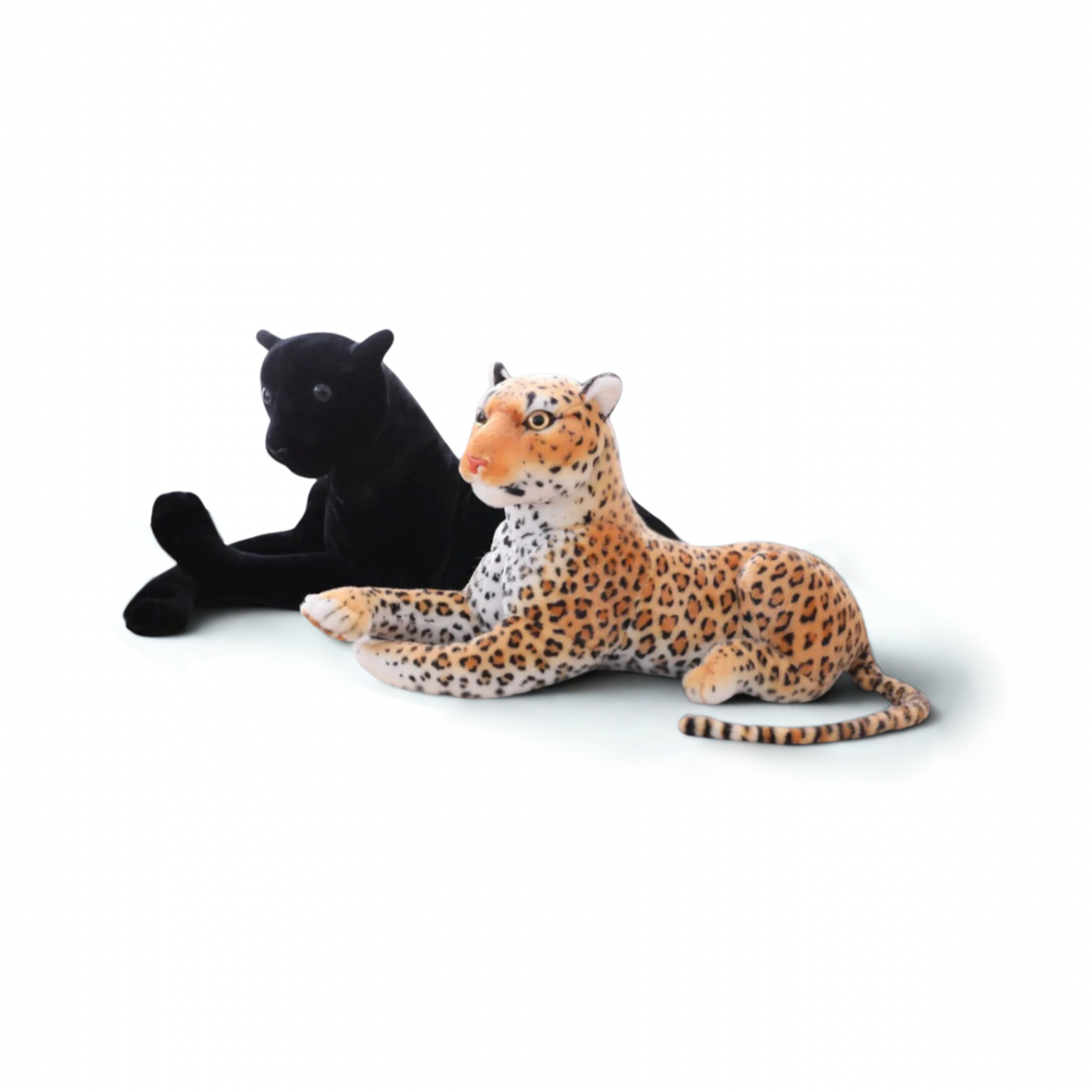 The Big Cats