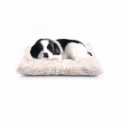 Sleeping Babies Mini