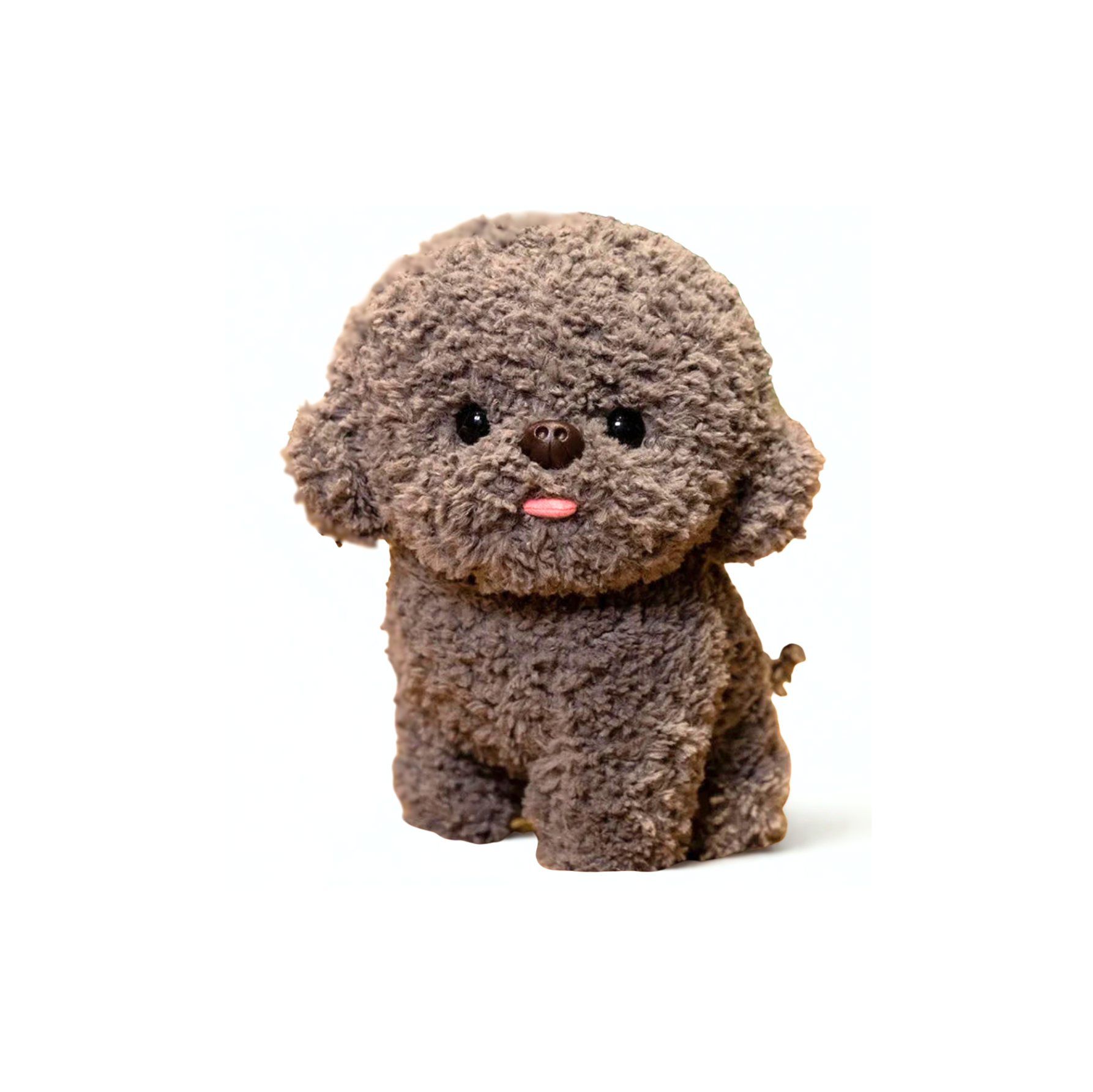 Silly Bichon Puppy