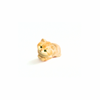 Plush Pocket Kitty