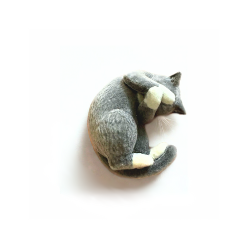 "don't take my picture" mini cat