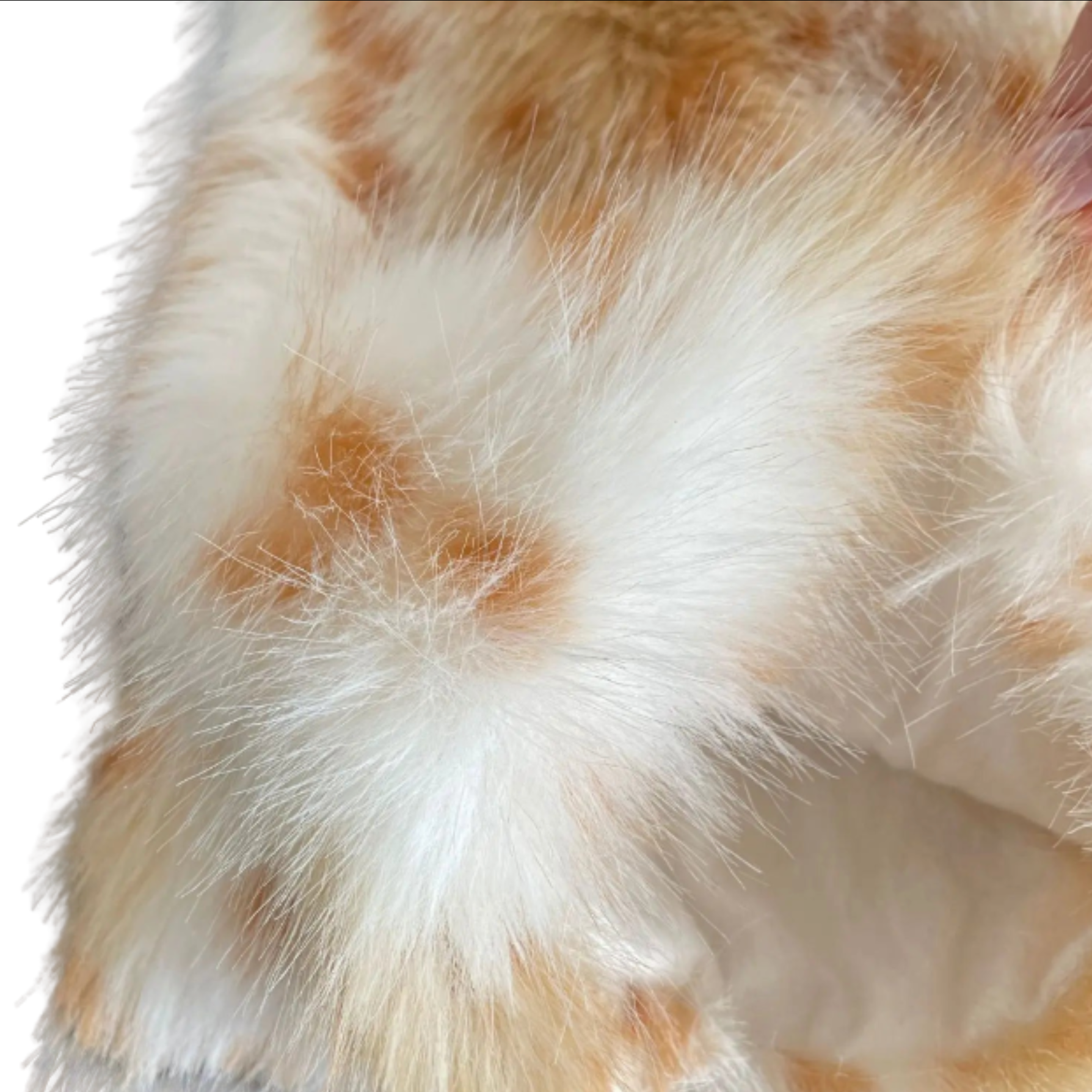 Deer Leg Warmers