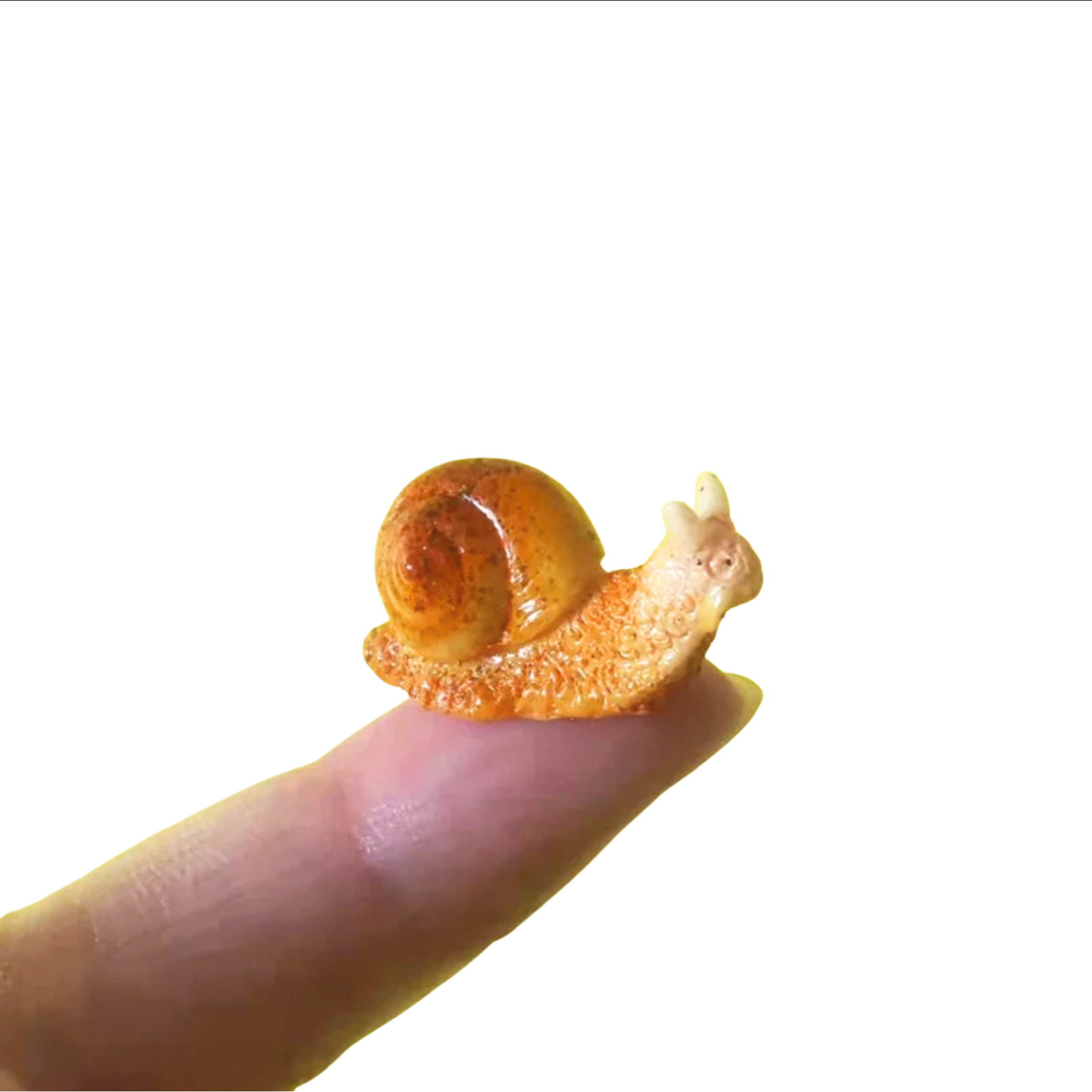 Mini Snail Pet