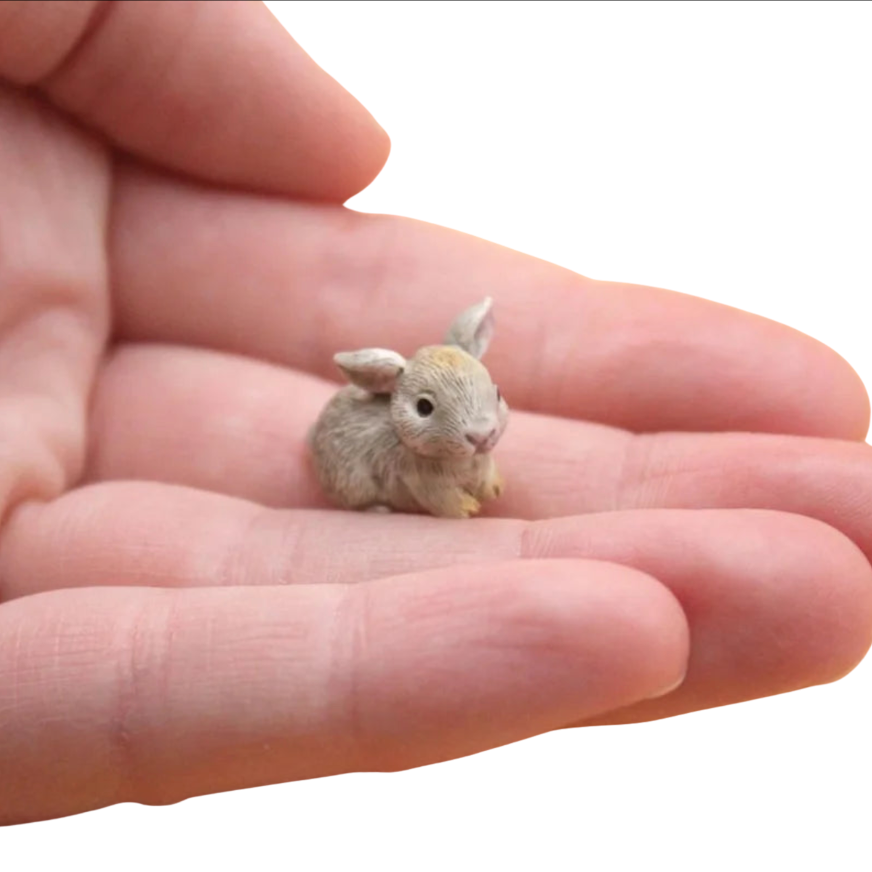 Mini Bunny Pet