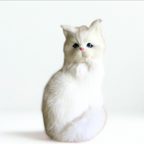 Clueless Cats