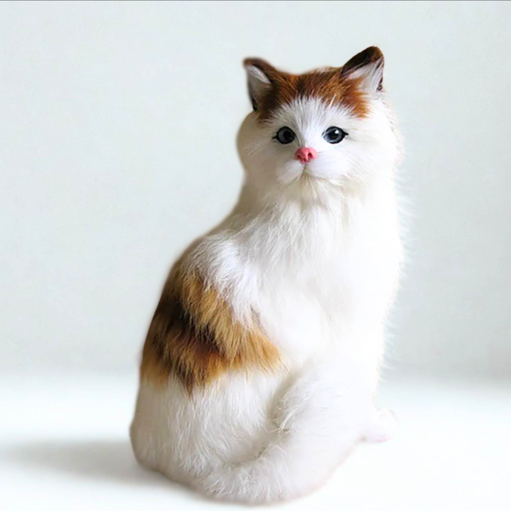 Clueless Cats