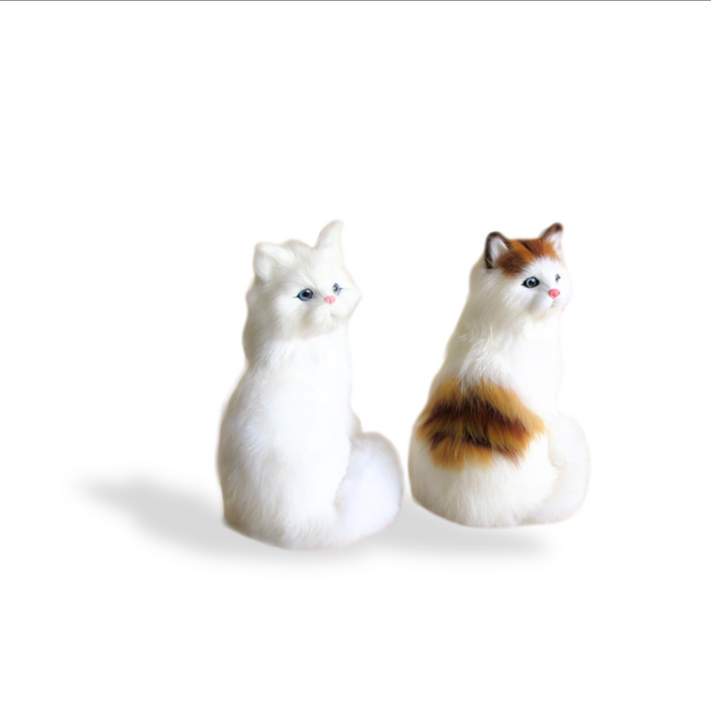 Clueless Cats