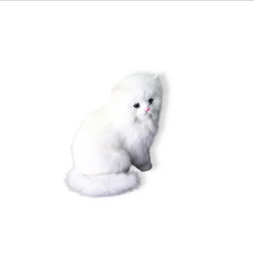 Aristocrat Kitty