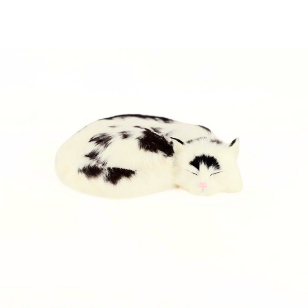 moo cat