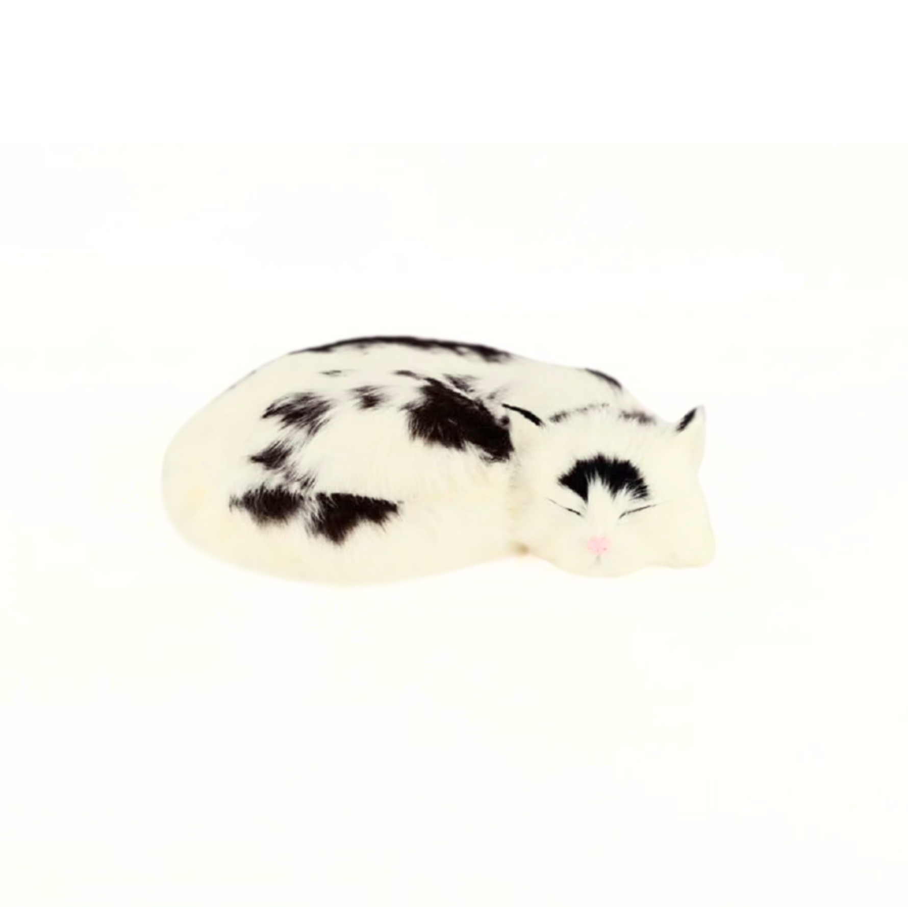 moo cat