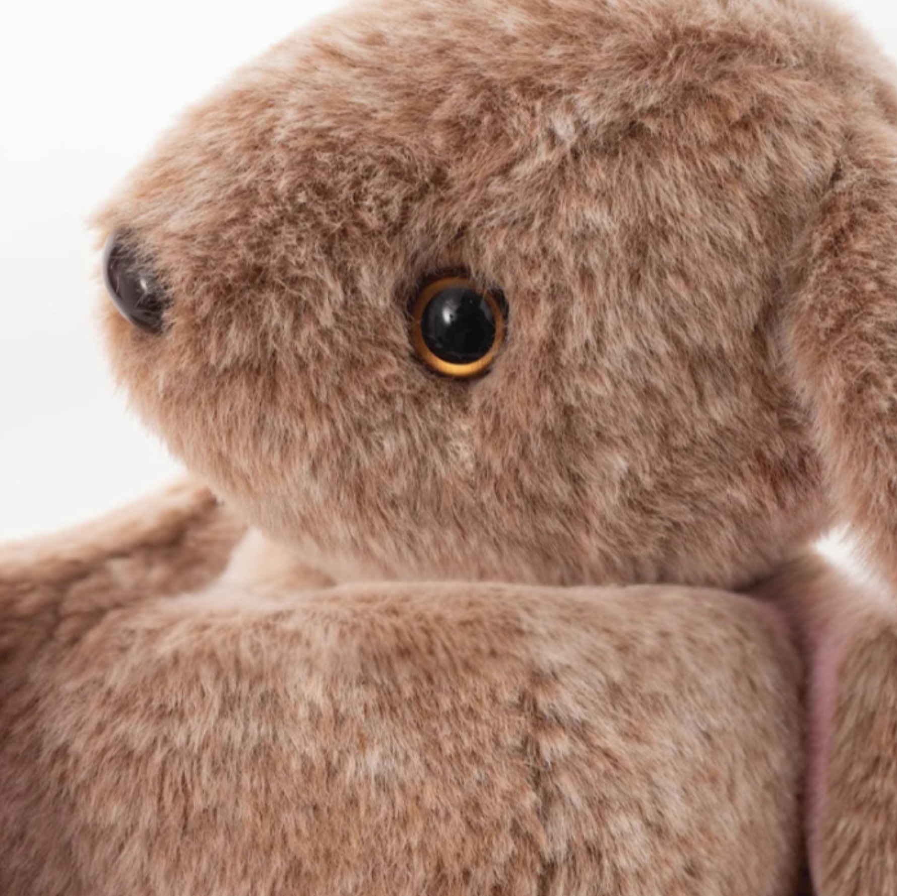 Cookie Bunny