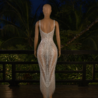 Moonlight Dinner Dress