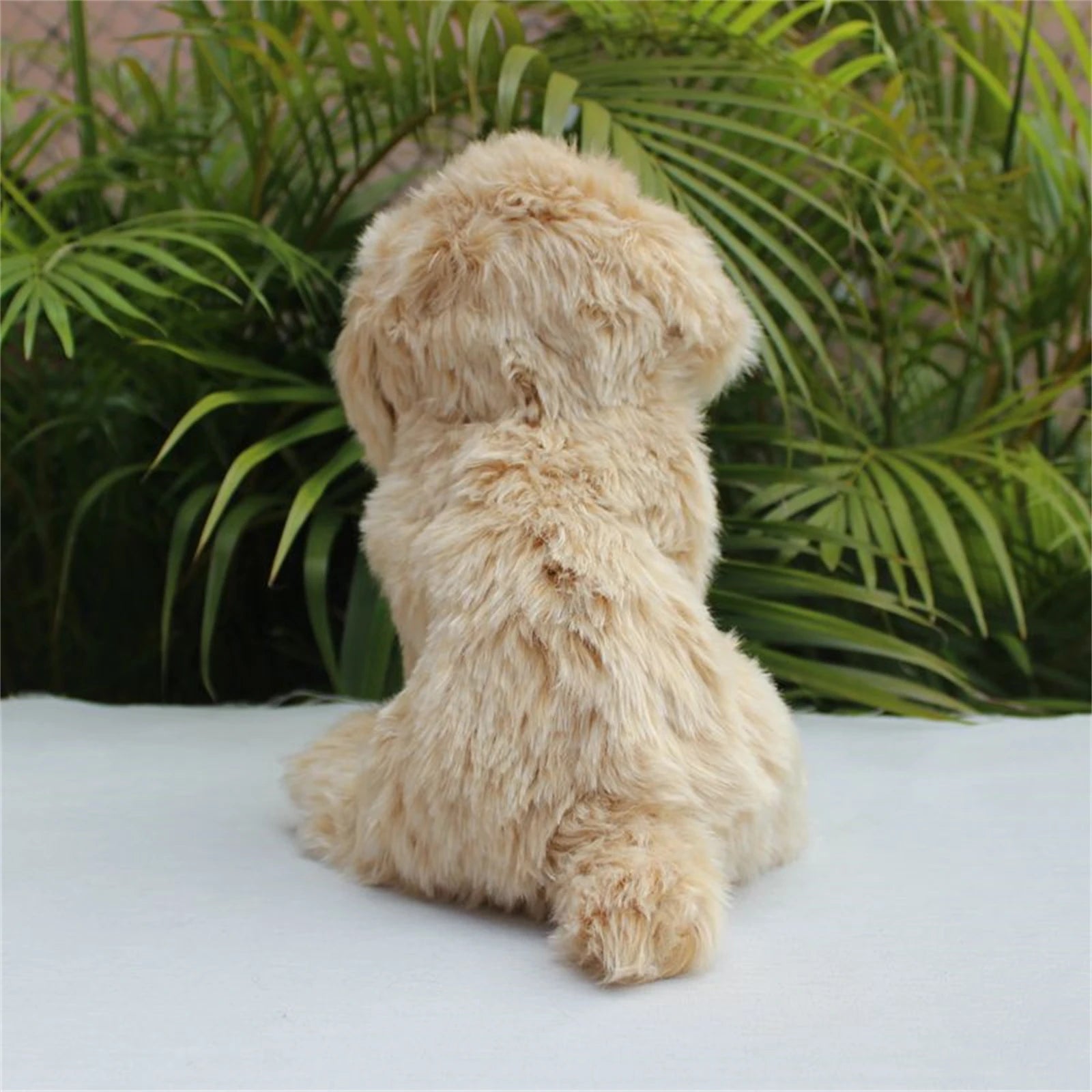 Baby Shih Tzu