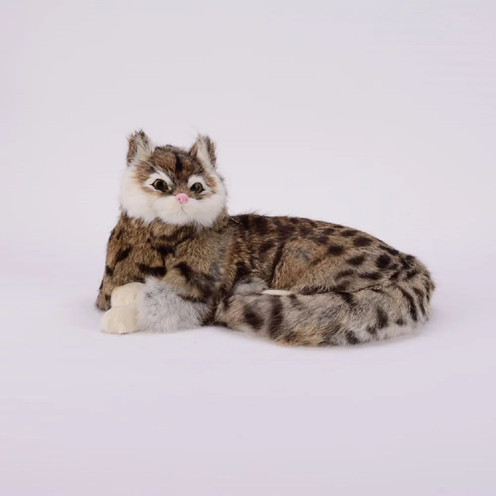 snow leopard cat