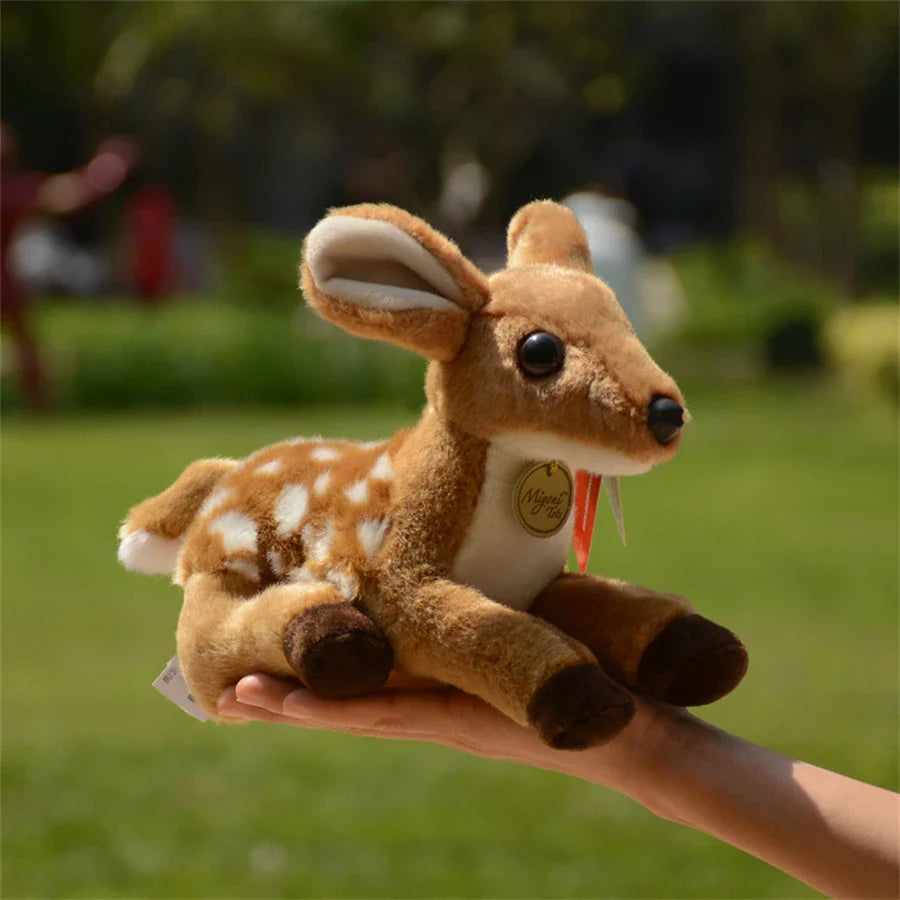 Baby Bambi